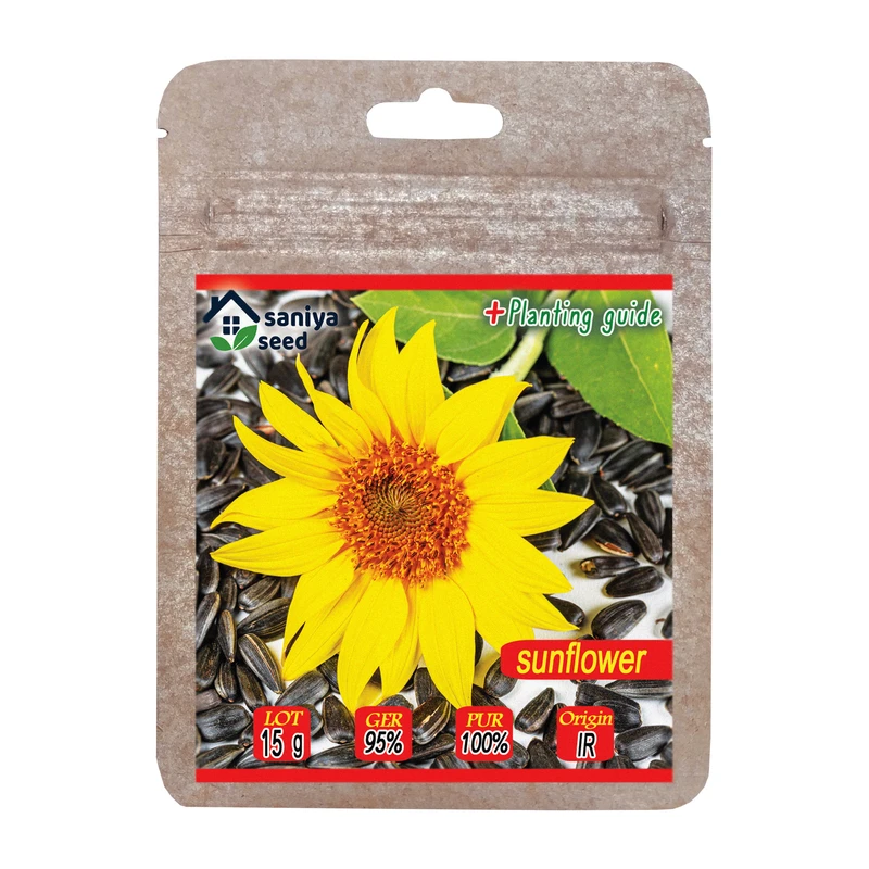 بذر تخمه آفتابگردان شمشیری سانیا سید مدل ss6