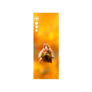 MAHOOT Squirrel Cover Sticker for LG Velvet 5G
