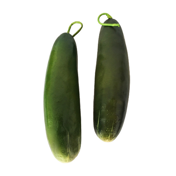 میوه تزیینی مدل خیار سالادی کد 691 بسته 2 عددی 