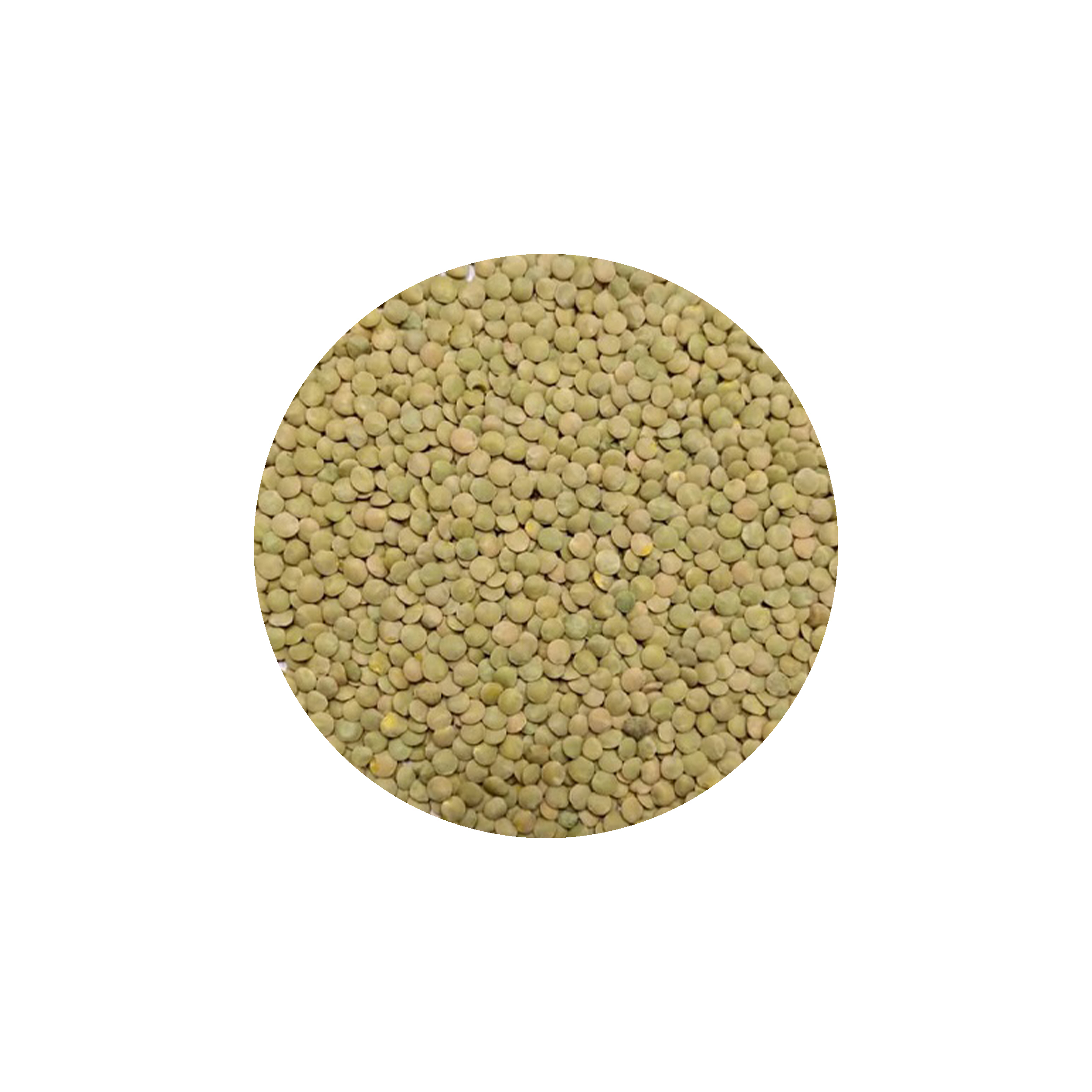 عدس ریز آشی دستچین کالا - 1200 گرم