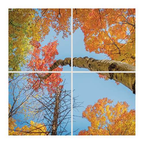 تایل سقفی آسمان مجازی مدل SK-411 سایز 60x60 سانتیمتر بسته 4 عددی