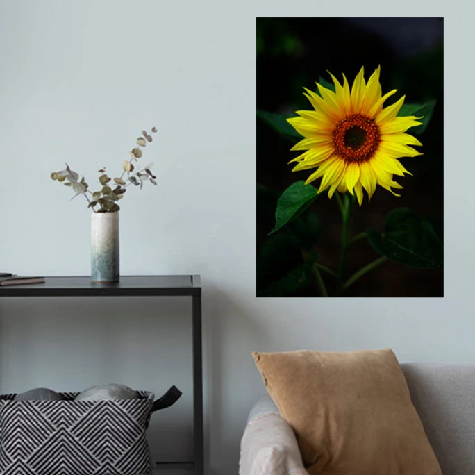 پوستر گوفی مدل گل آفتابگردان زیبا طرح طبیعت و گردشگری Nature SunFlower 4K کد FRNT87