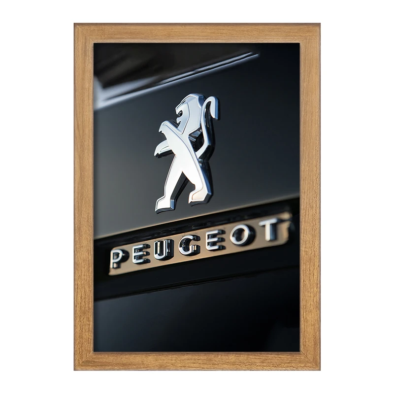 تابلو خندالو مدل پژو Peugeot  کد 23649