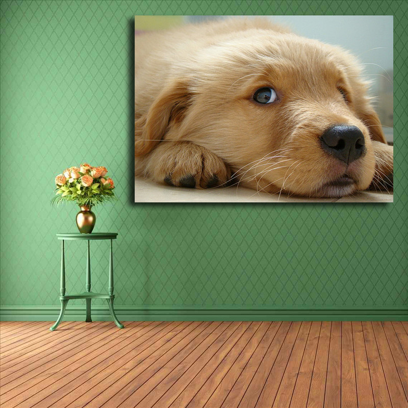 تابلو شاسی مدل سگ کد 20