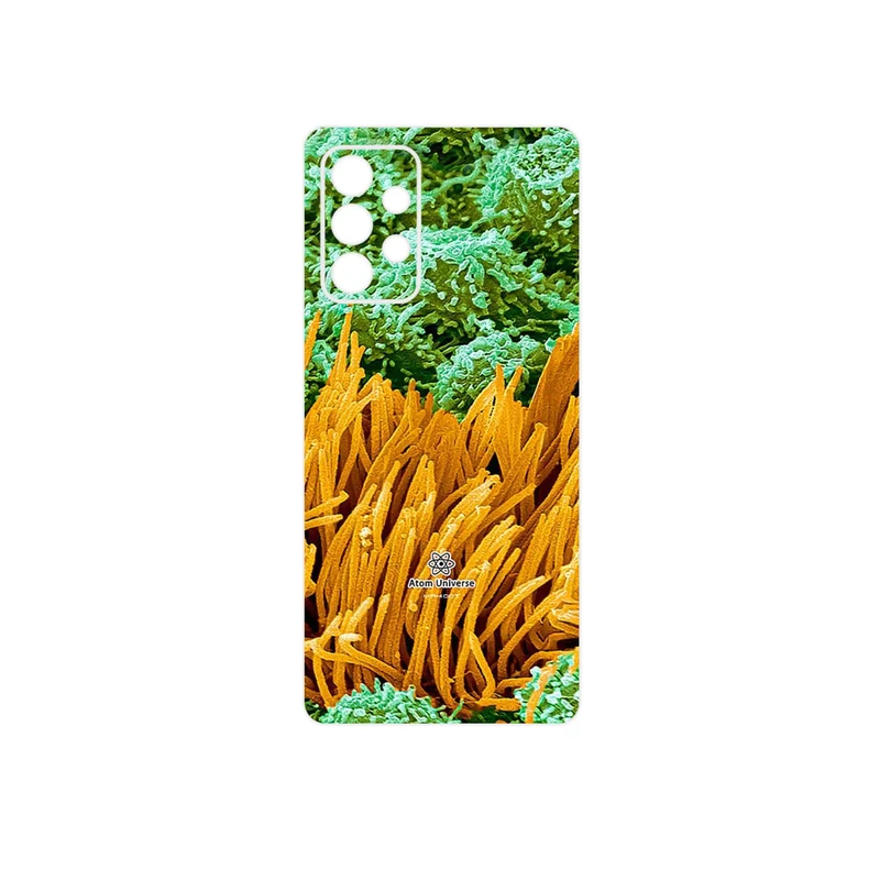برچسب پوششی ماهوت مدل Atom Universe 6 مناسب برای گوشی موبایل سامسونگ Galaxy A53 5G