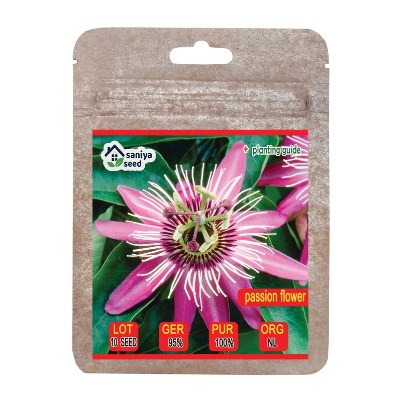 بذر گل ساعتی رونده صورتی سانیا سید مدل S115