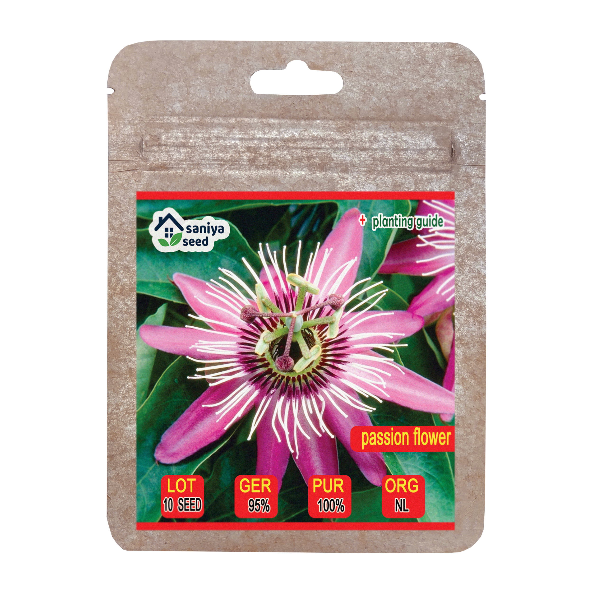 بذر گل ساعتی رونده صورتی سانیا سید مدل S115