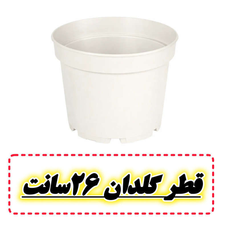 گلدان مدل پاچیرا سایز 26 سانتی متر بسته 2 عددی