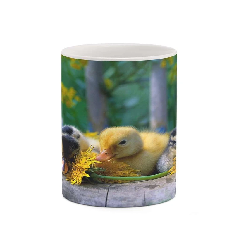 ماگ کاکتی مدل جوجه کد mgh19219