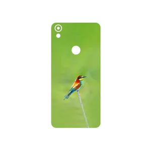 MAHOOT European bee-eater Cover Sticker for Tecno Camon CM