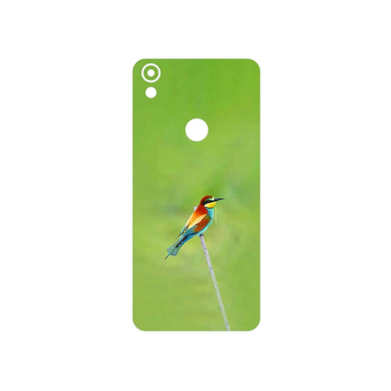 برچسب پوششی ماهوت مدل European bee-eater مناسب برای گوشی موبایل تکنو Camon CM