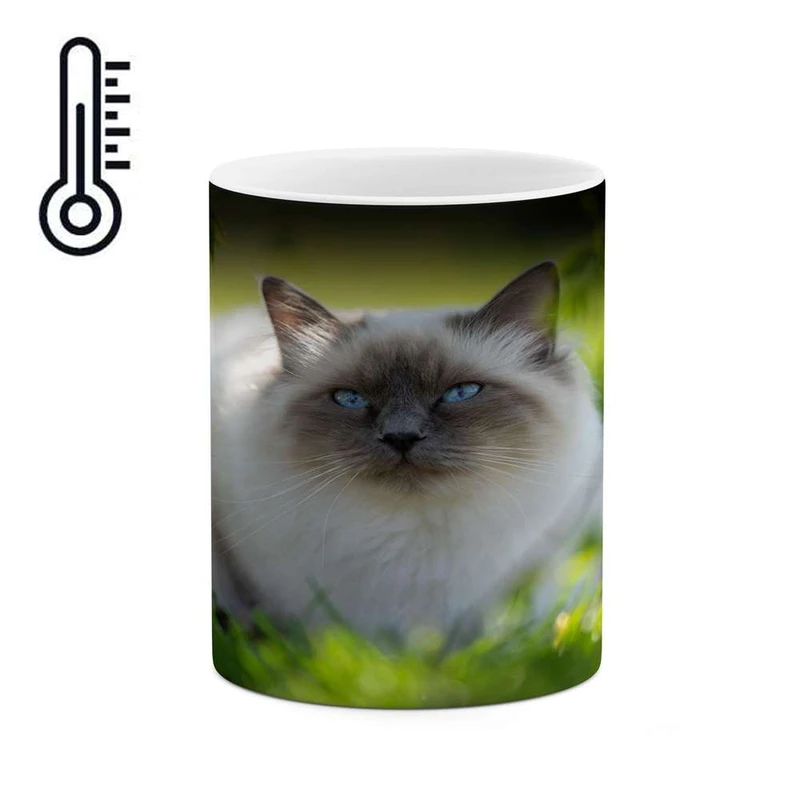 ماگ حرارتی کاکتی مدل گربه کد mgh16864