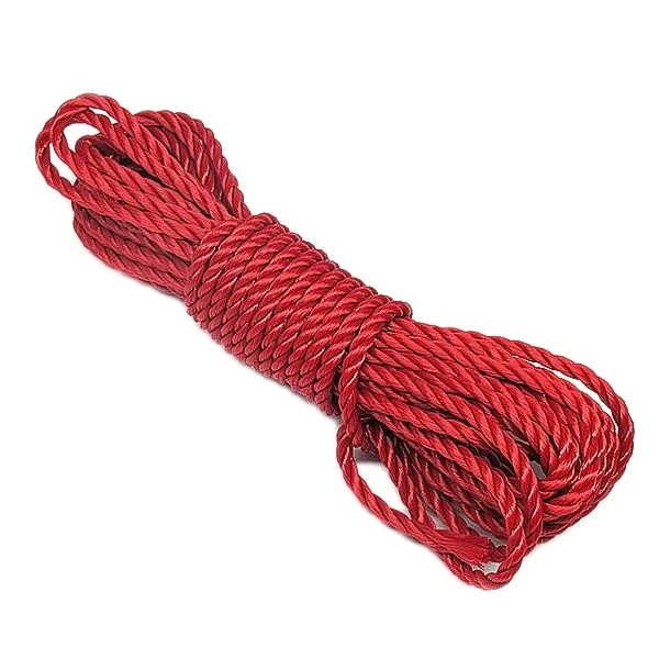 طناب بسته بندی مدل T6mm طول 10 متر بسته دو عددی