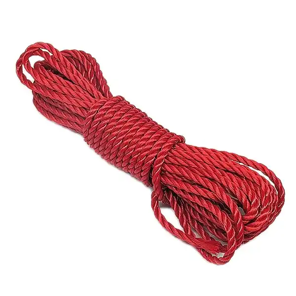 طناب بسته بندی مدل T6mm طول 10 متر بسته دو عددی