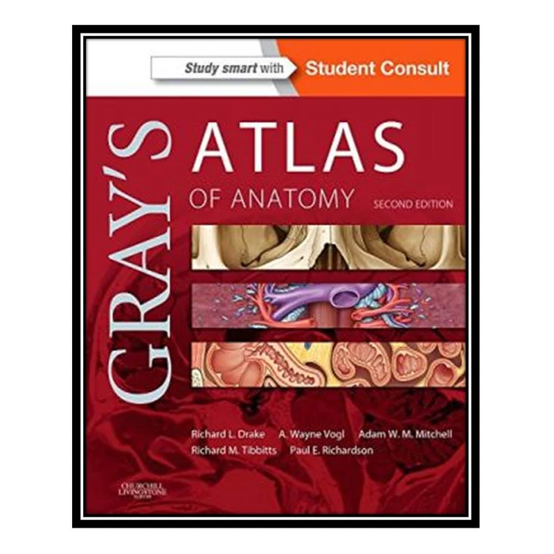 کتاب Grays Atlas of Anatomy 2nd Edition اثر جمعی از نویسندگان انتشارات مؤلفین طلایی