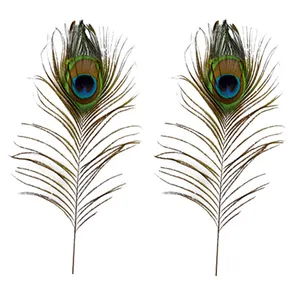 پر دریم کچر طرح طاووس کد S60B2  بسته 2  عددی