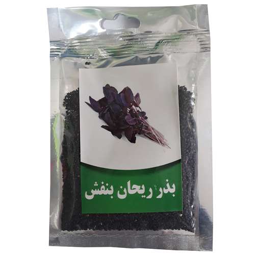 بذر ریحان بنفش کد B02