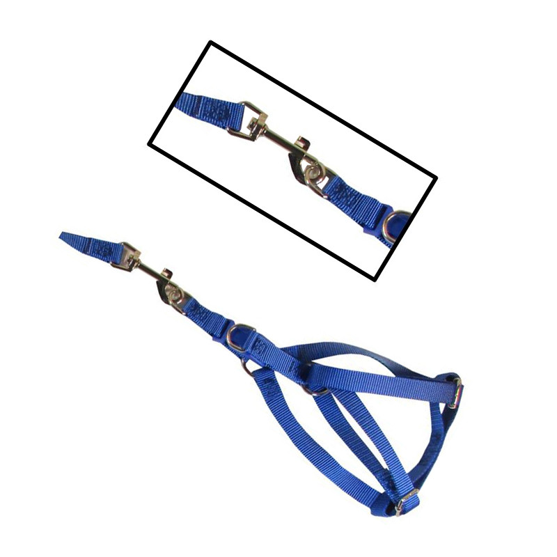 قلاده سگ و گربه کد AB-50