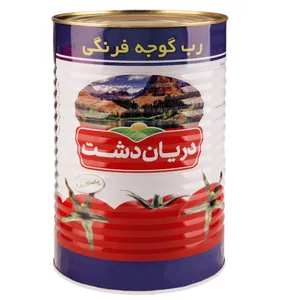 رب گوجه فرنگی دریان دشت - 4500 گرم