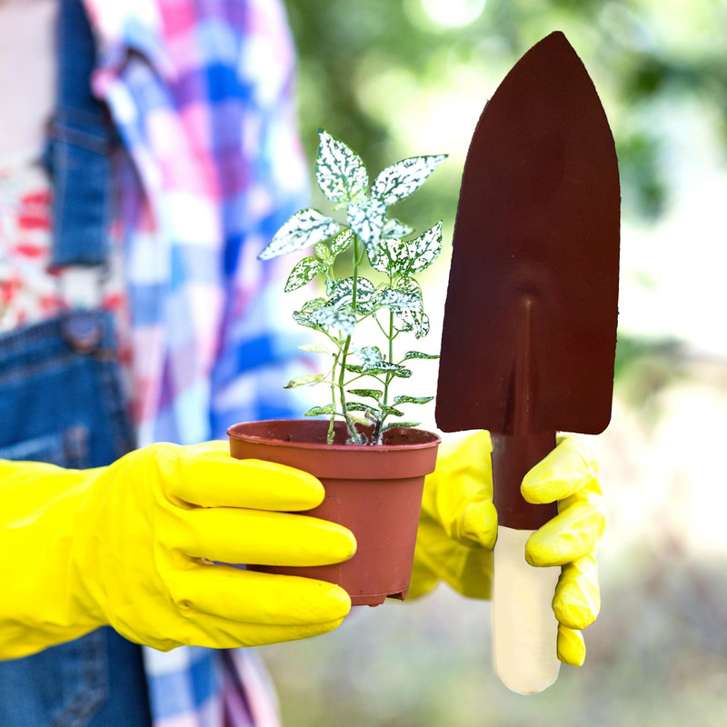 بیلچه مدل Bilch بیلچه مدل Bilch