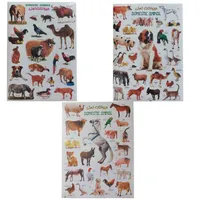 برچسب مدل آموزشی طرح حیوانات اهلی کد 66 بسته 3 عددی