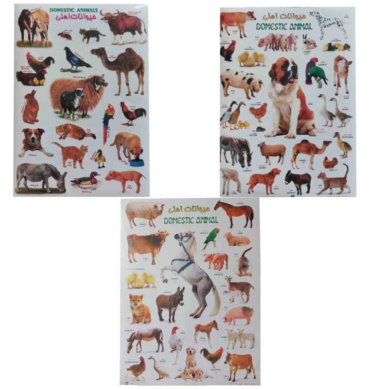 برچسب مدل آموزشی طرح حیوانات اهلی کد 66 بسته 3 عددی