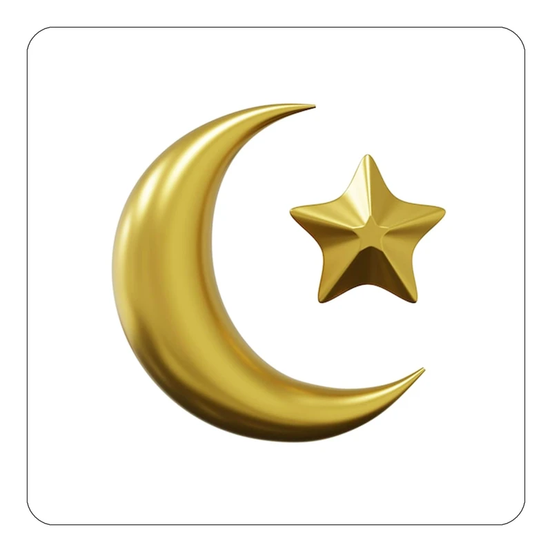 مگنت کاکتی طرح ماه و ستاره مدل mp50602