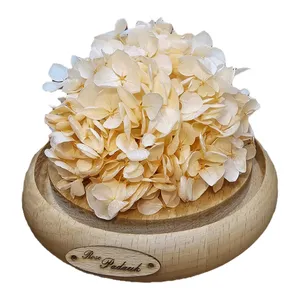 گل رز جاودان مدل گوی هورتانسیا