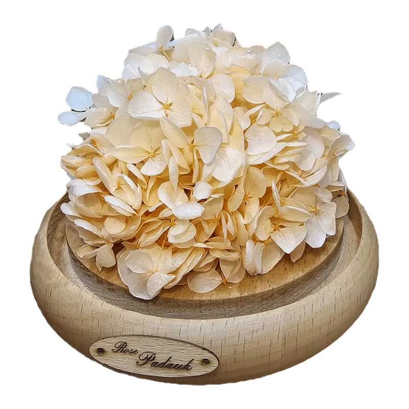 گل رز جاودان مدل گوی هورتانسیا