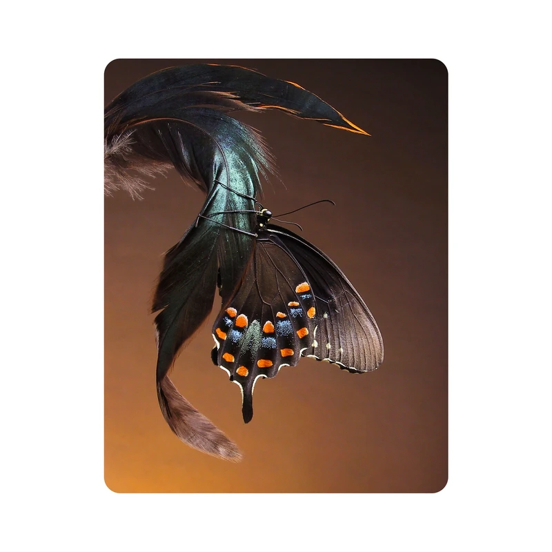 ماوس پد اطلس آبی طرح پروانه و پر مدل T5884