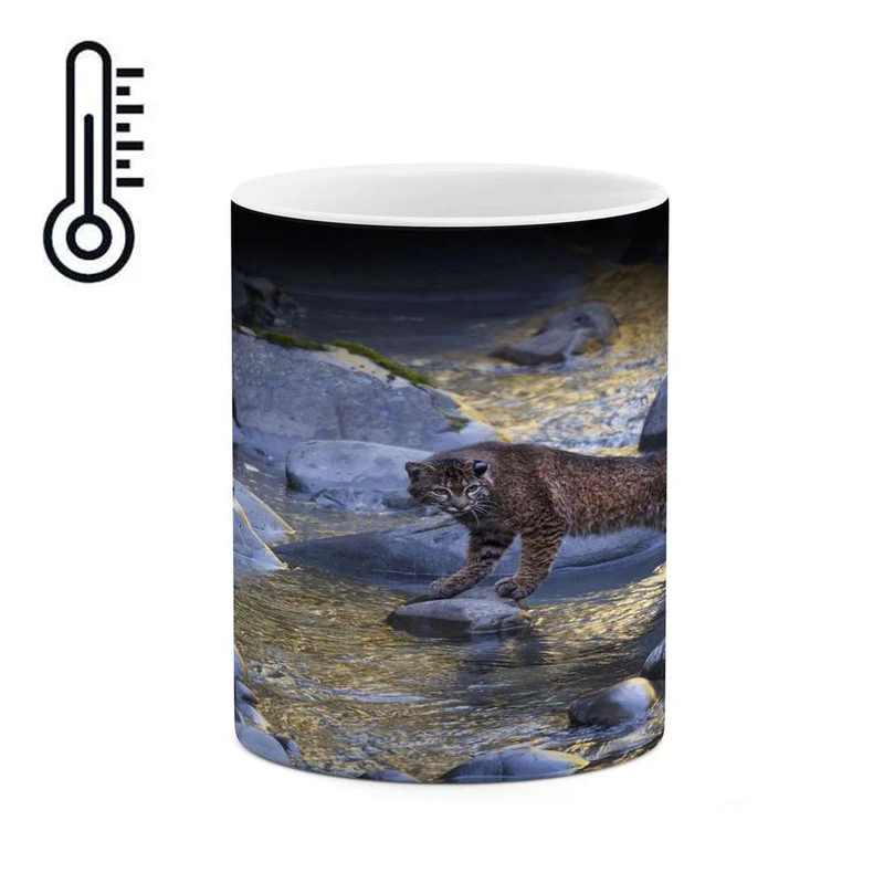 ماگ حرارتی کاکتی مدل گربه سان کد mgh16567