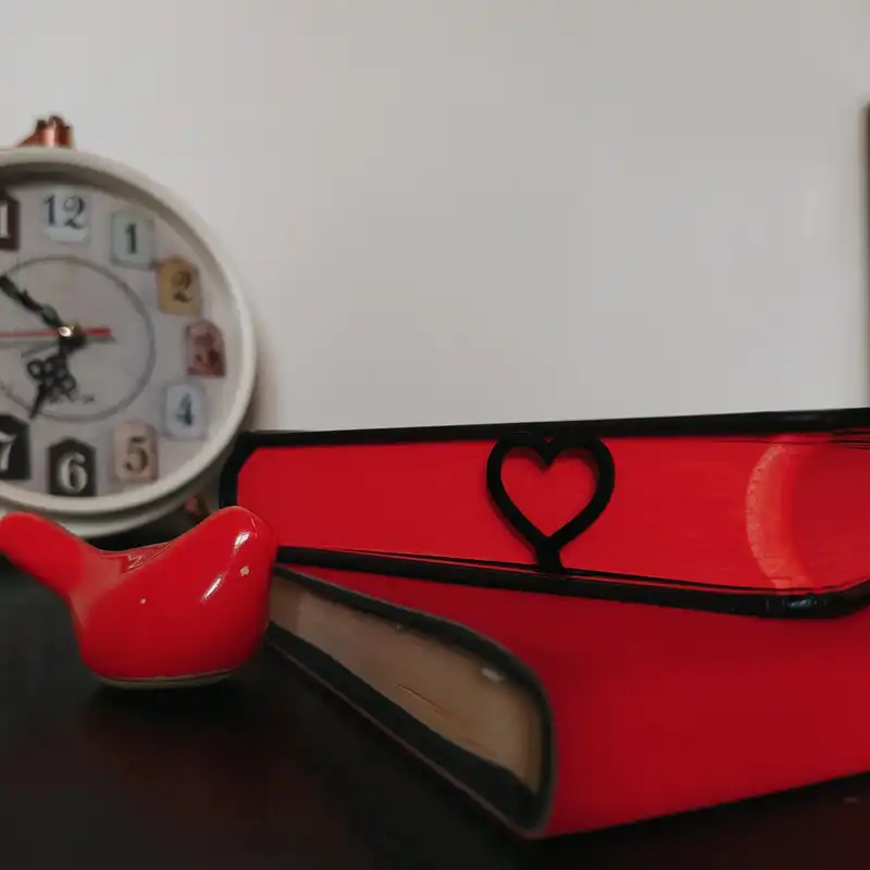 نشانگر کتاب مدل قلب