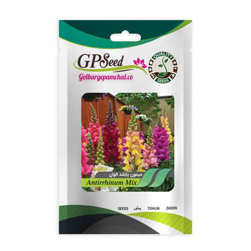 بذر گل میمون پابلند الوان گلبرگ پامچال کد GPF-082