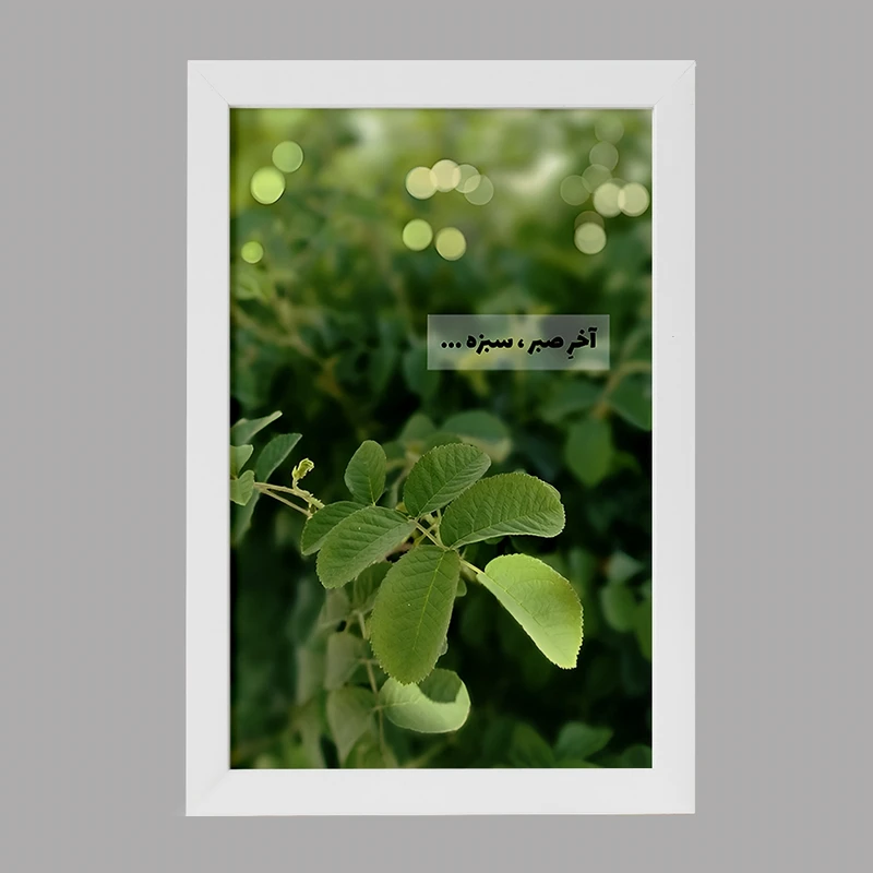 تابلو خندالو مدل آخر صبر، سبزه کد F6700