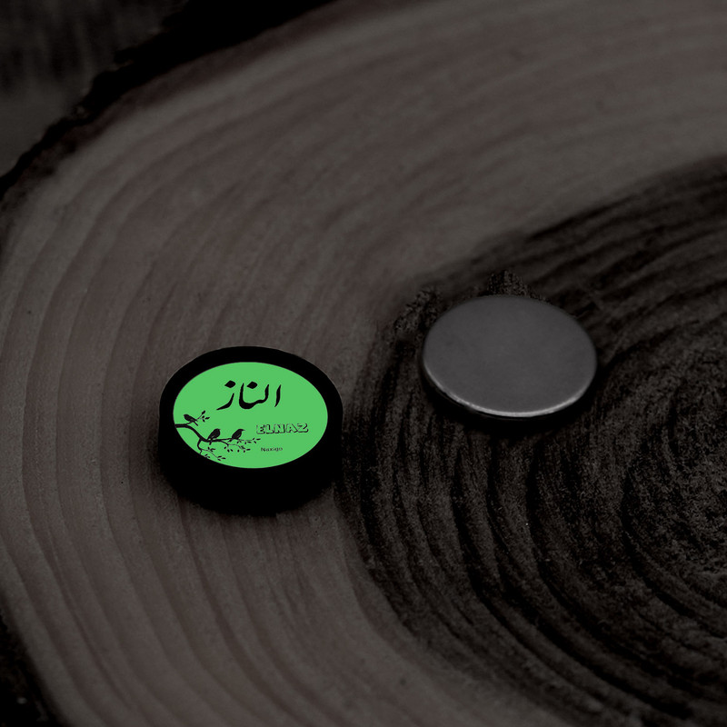 پیرسینگ گوش ناکسیگو مدل شب تاب طرح الناز کد PM6011