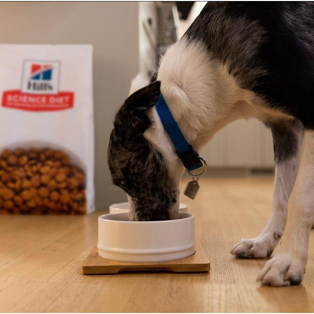 غذای خشک سگ هیلز مدل Metabolic وزن 1 کیلوگرم