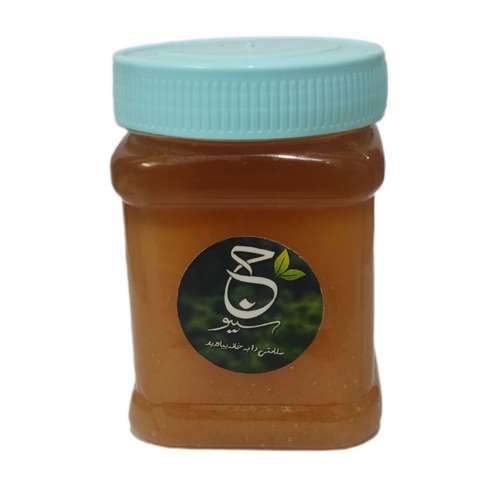 عسل طبیعی کوهستان - 500 گرم