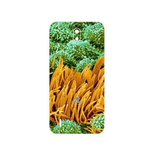 MAHOOT Atom Universe 6 Cover Sticker for Nokia C1