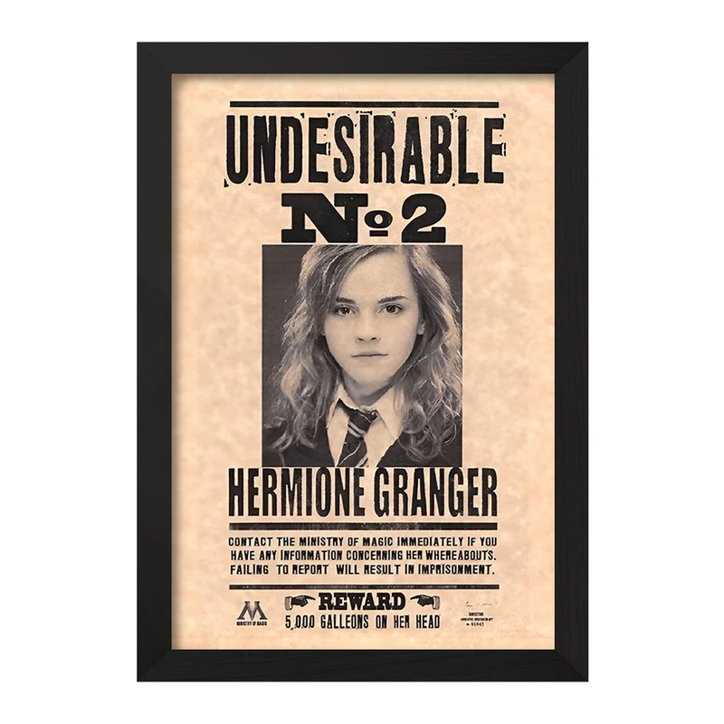 تابلو خندالو مدل هرماینی (Hermione) کد F8655