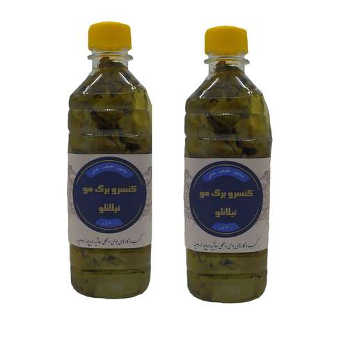 کنسرو برگ مو محلی ئیلانلو - 400 گرم بسته 2 عددی