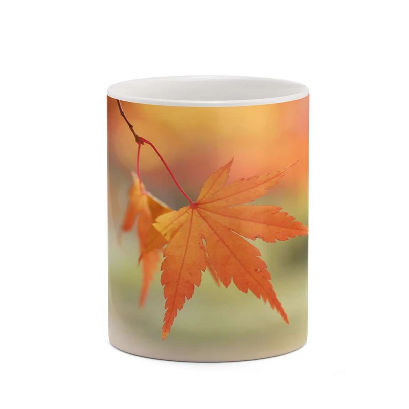 ماگ کاکتی مدل پاییز کد mgh19324