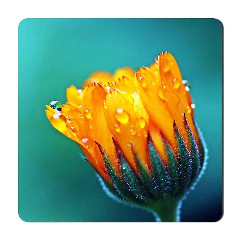 مگنت یخچالی گالری باجو طرح گل کد flower 47