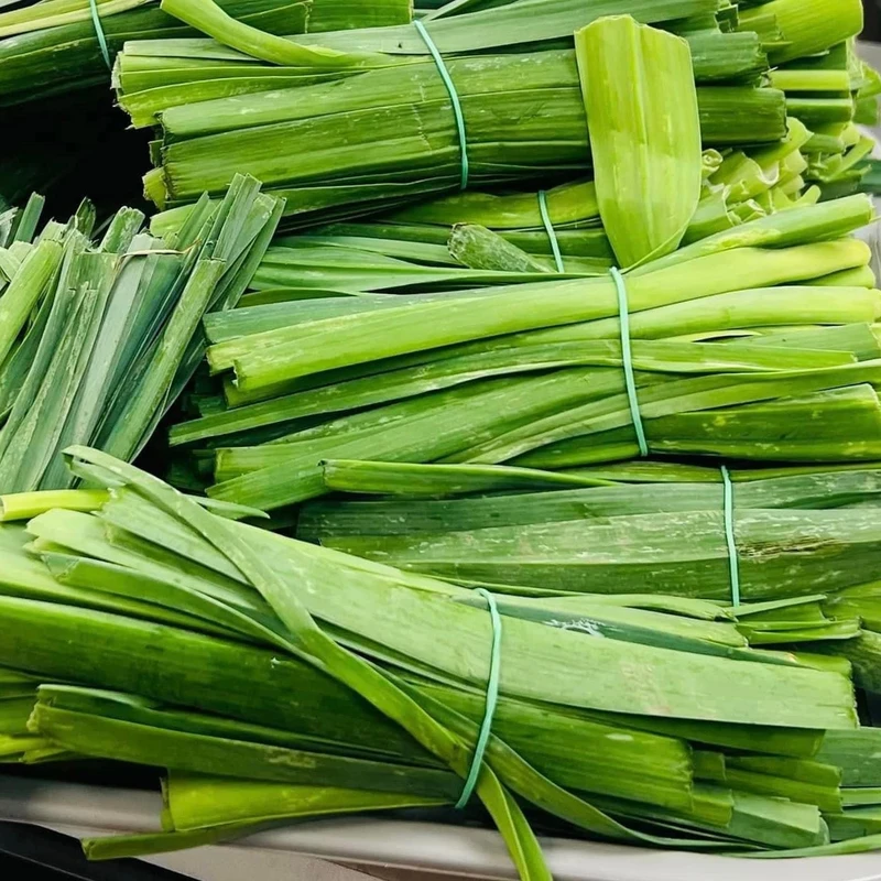 عکس شماره 6 : بذر تره مدل bz18396