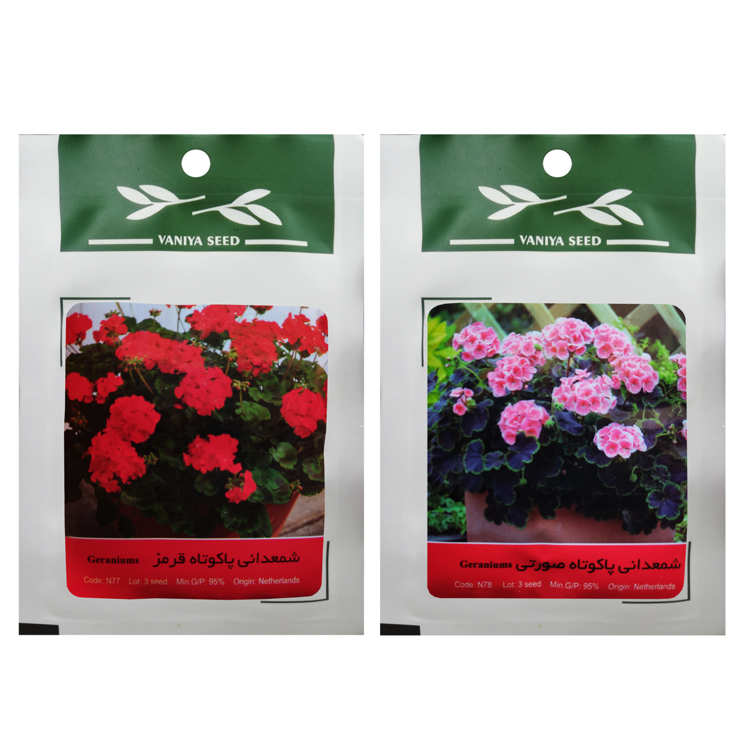 بذر گل شمعدانی وانیا سید مدل G1 مجموعه 2 عددی 