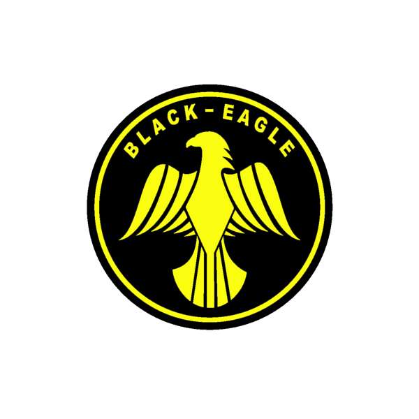برچسب بدنه خودرو طرح black eagle کد 10783 