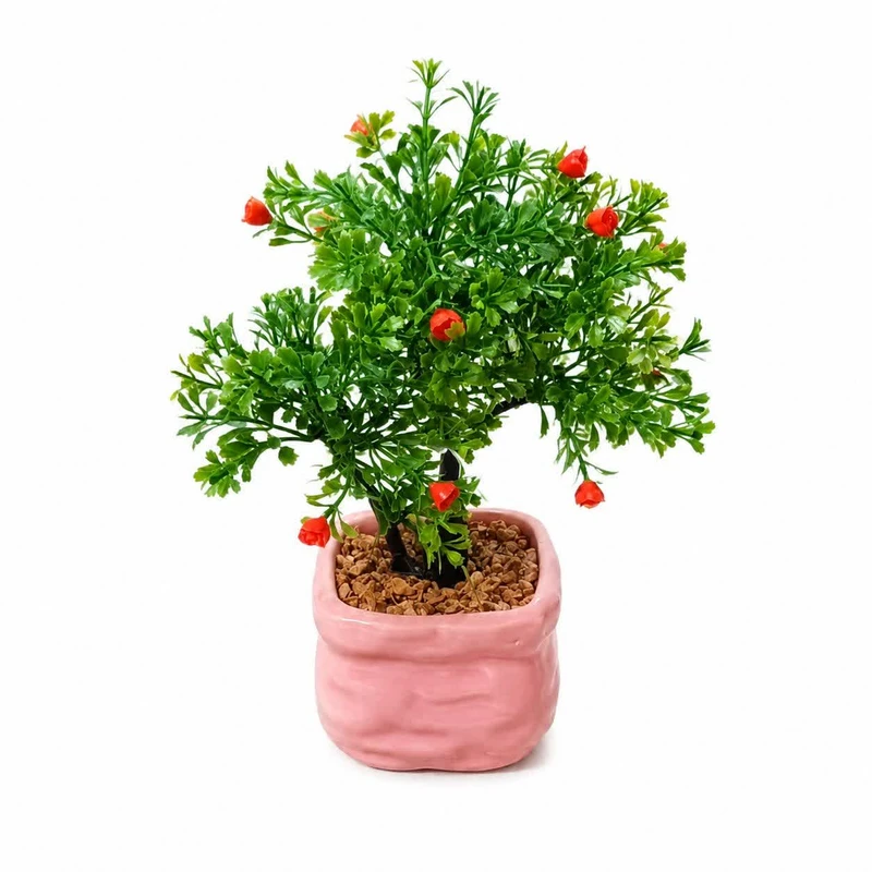 درختچه تزئینی مدل مدیترانه ای