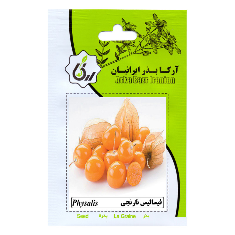 بذر فیسالیس نارنجی آرکا بذر ایرانیان کد ARK-133