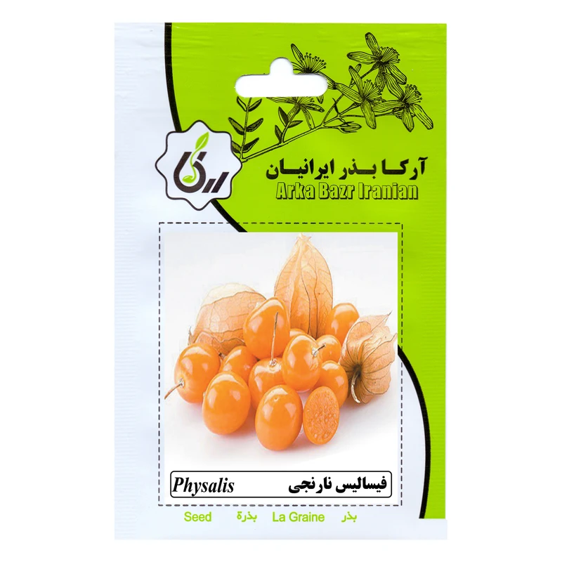 بذر فیسالیس نارنجی آرکا بذر ایرانیان مدل B76