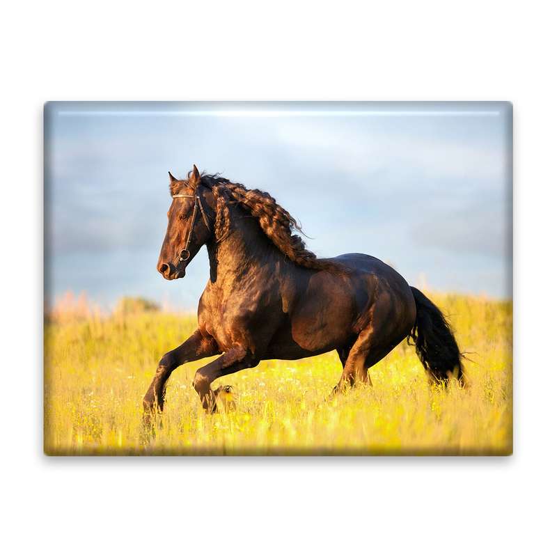 کاشی اطلس آبی طرح اسب  مدل T5845