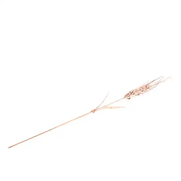 گل مسی مدل گندم کد ZH229